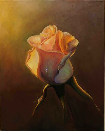 Прикосновение света