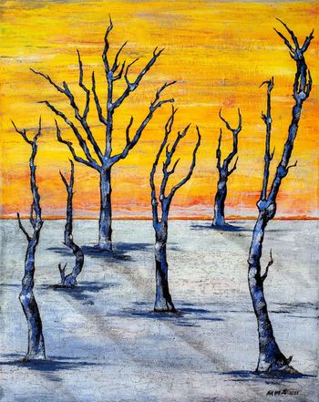 "Пустыня Намиб"