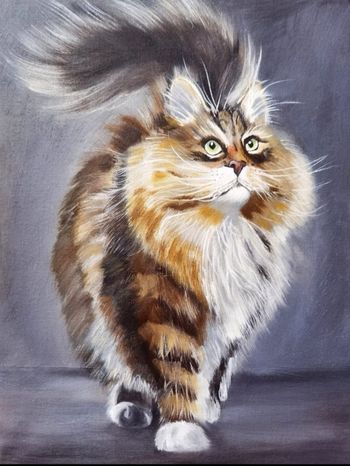 Кошка