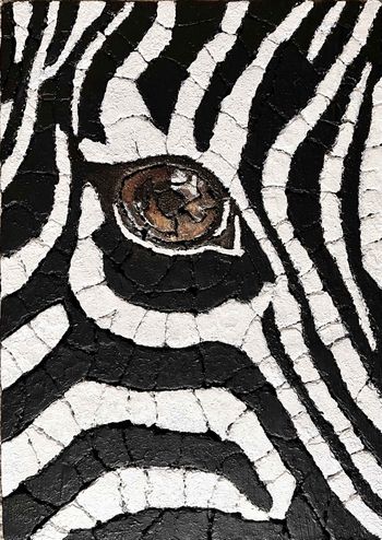 Интерьерная картина Зебра