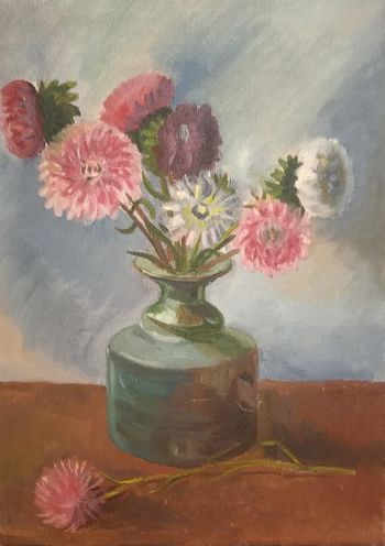 Любимые астры