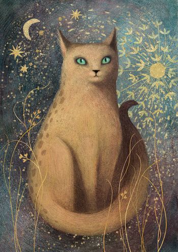 Кот живущий в трёх мирах.