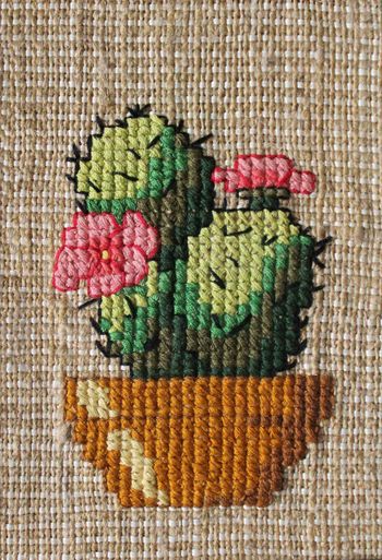 Кактус в горшочке