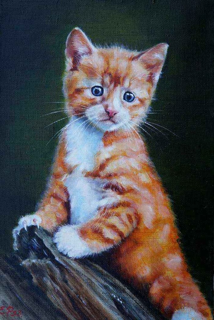 Рыжий котёнок