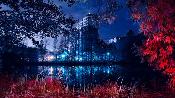 Цвет города