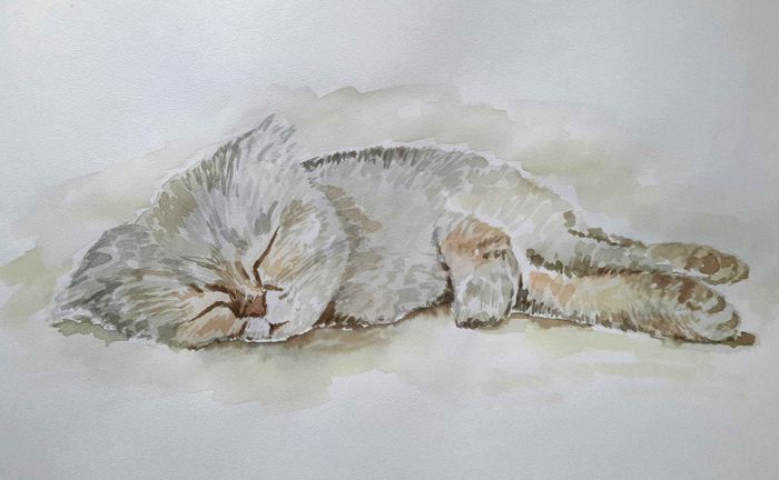 Спящий шотландец