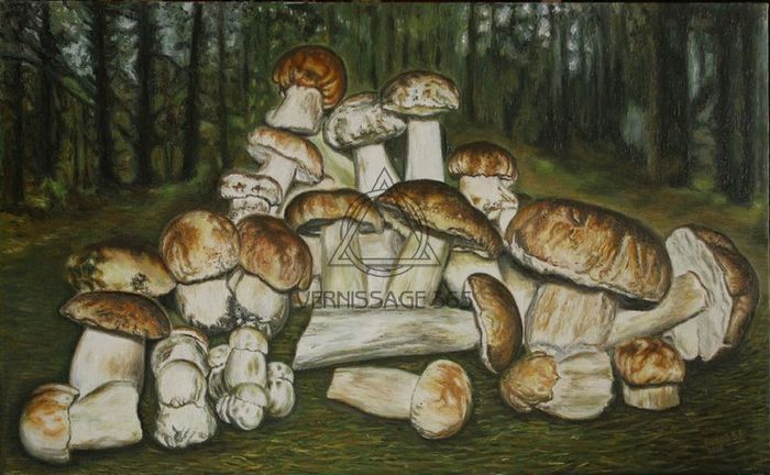 Белые грибы из леса возле хутора Вихляевский.