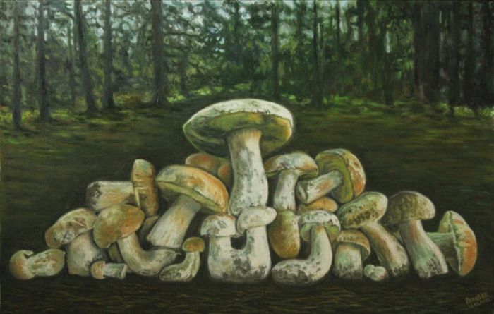 Грибы из леса возле хутора Вихляевский.