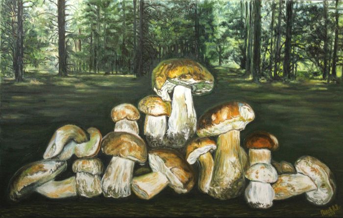 Картина  Белые грибы из леса возле хутора Вихляевский