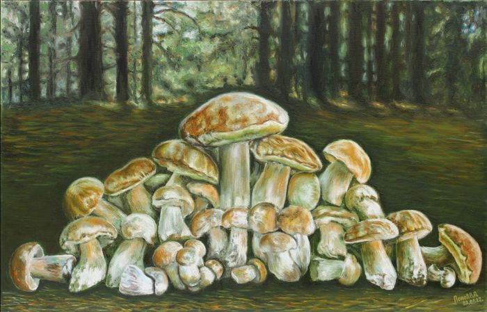 Белые грибы из леса возле хутора Вихляевский.