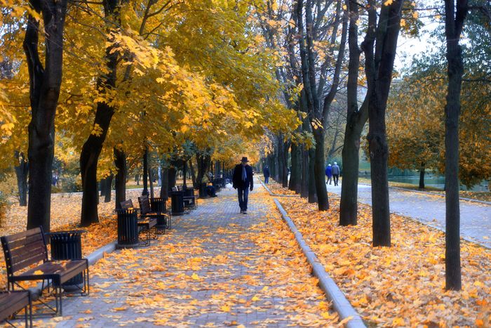 Цвет настроения - Осень (16}