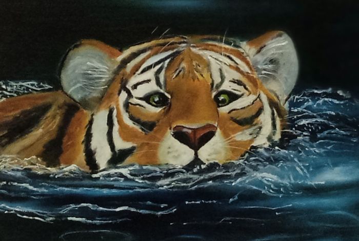 Купающийся тигр