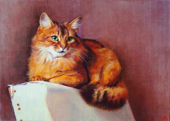 Кошка на спинке кресла