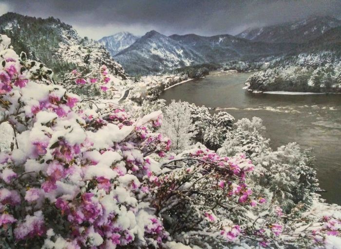 Манящие горы