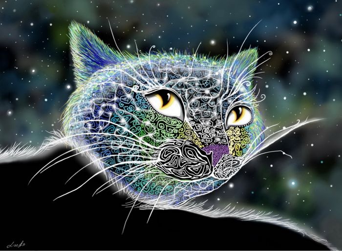 Космический кот