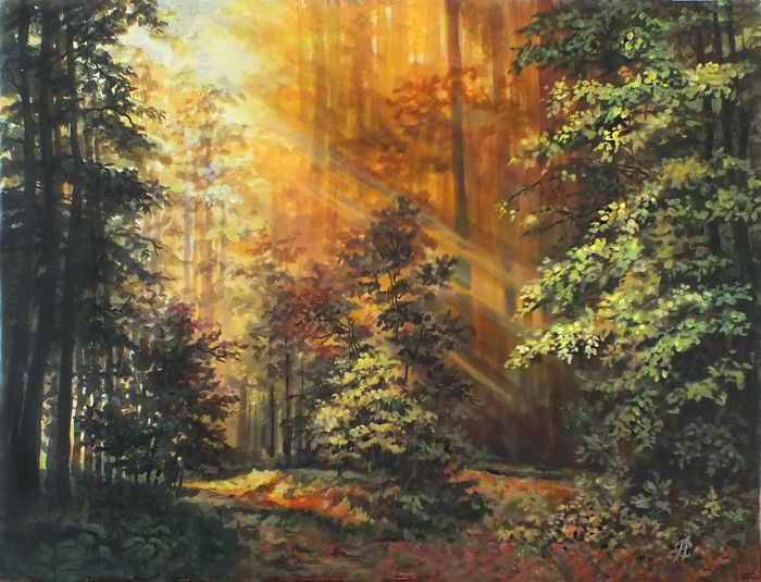 Лес и солнце