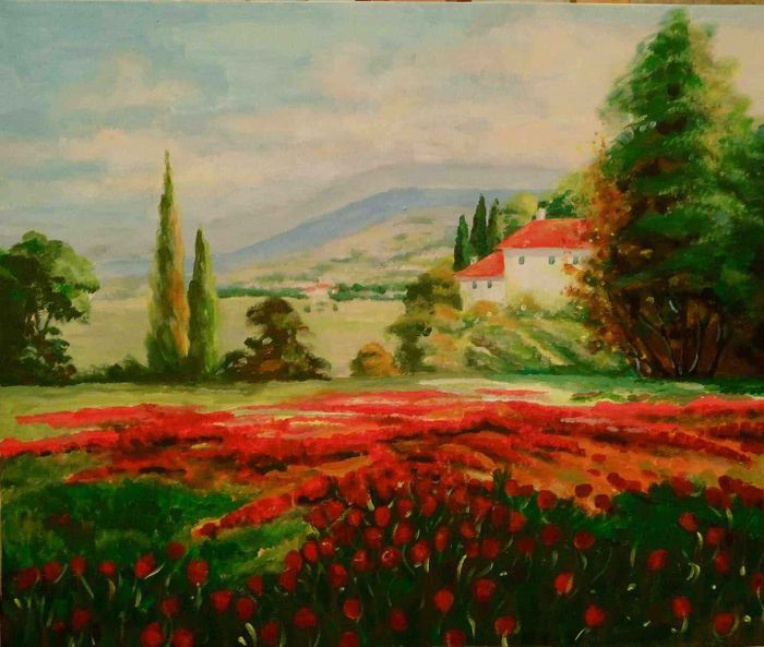 Красные маки