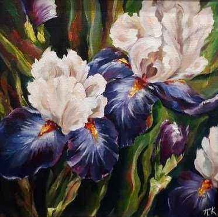 Ирисы