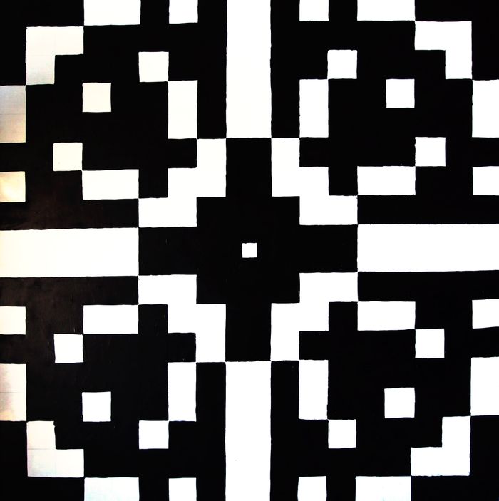 Черно-белый цветок