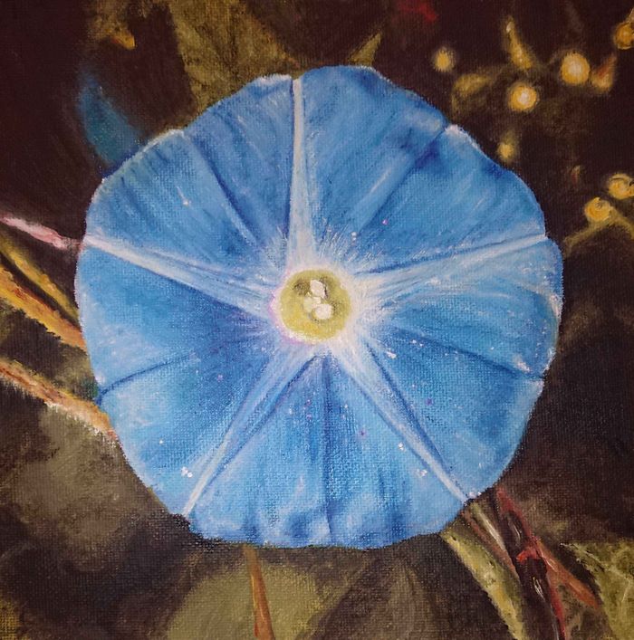 Золотое сечение