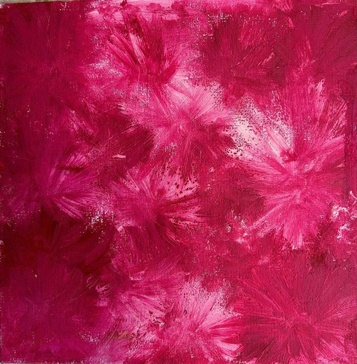 Вспышка цвета пионов