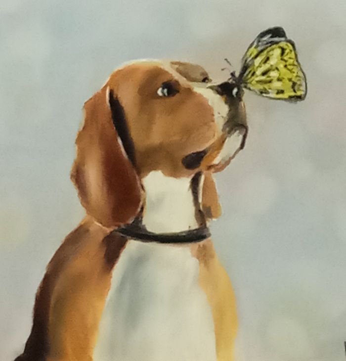 Живи, люби, лай