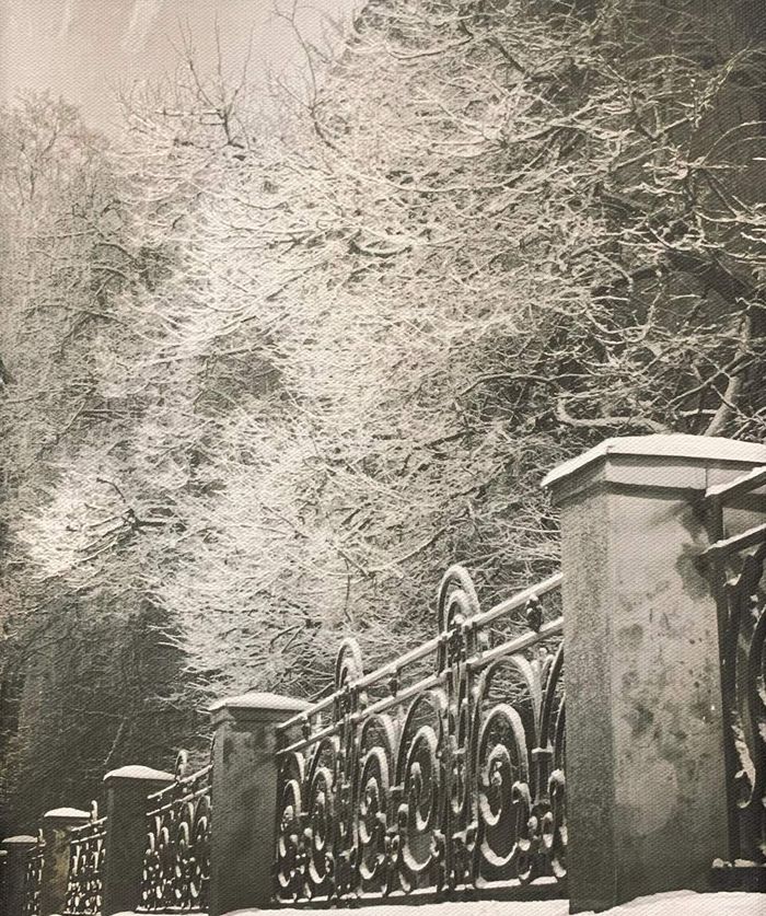 На Моховой зимой, Москва