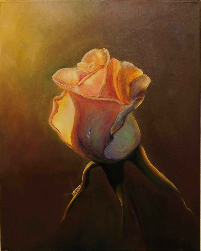 Прикосновение света