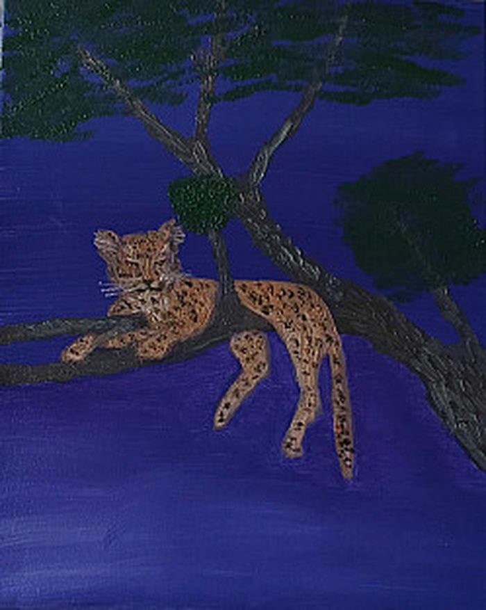 Кошка