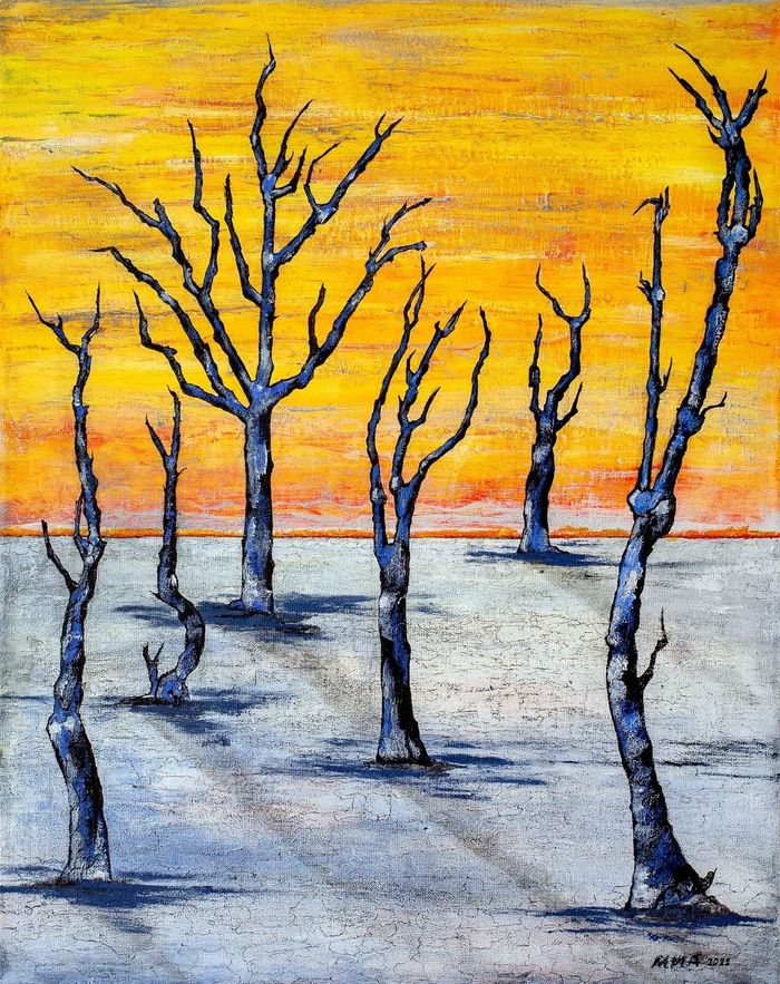 "Пустыня Намиб"