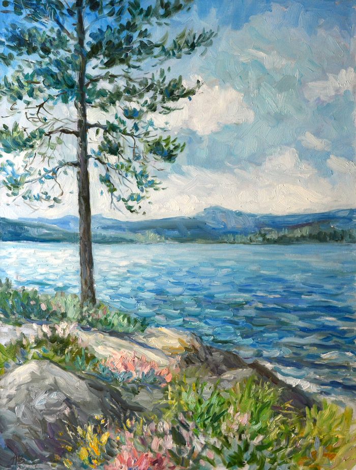 Сосна на берегу озера