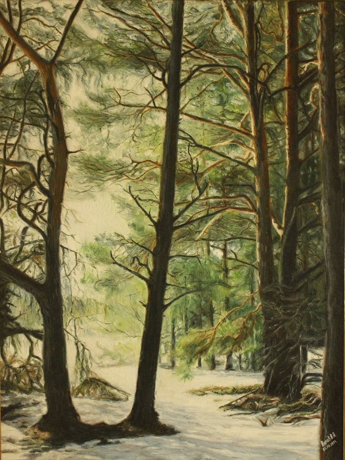 Лес возле станицы  Филоновская