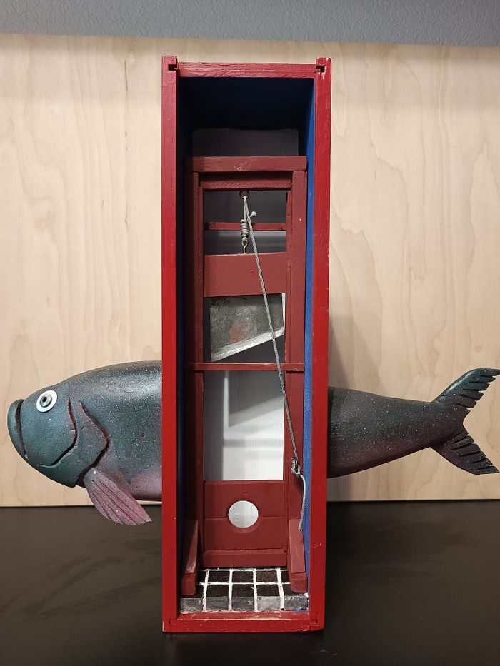 Fish day. Heads and tails.