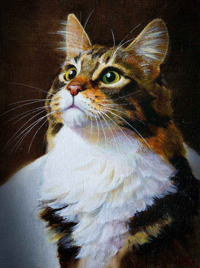 Серая кошка