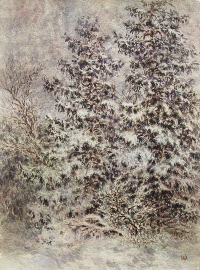 Зимние ели